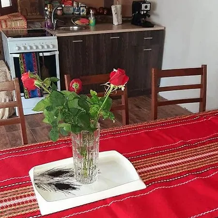 Pensiune Самостоятелна Къща За Гости 